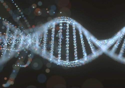 Редактирование генов может осуществляться непосредственно внутри организма с помощью CRISPR